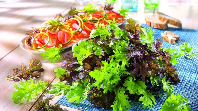 Bild_008_002_4c__77368 Blattsenf ,Scharfer Zahn-Mix‘ ist sehr würzig und äußerst gesund. Foto: Bruno Nebelung GmbH/akz-o